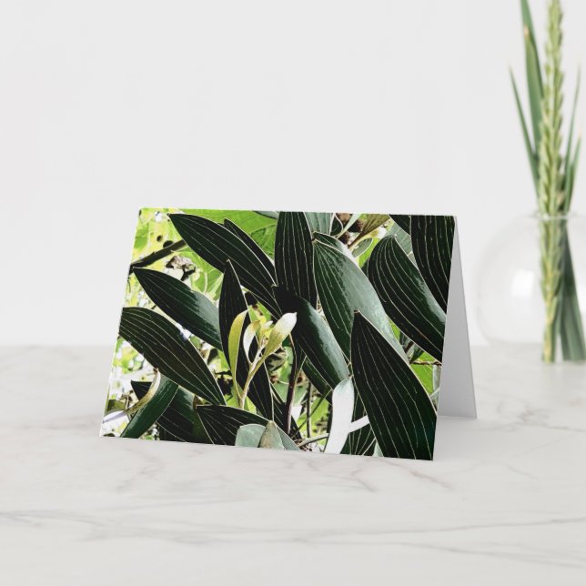 Cartes Pour Fêtes Annuelles motif feuille (Devant)