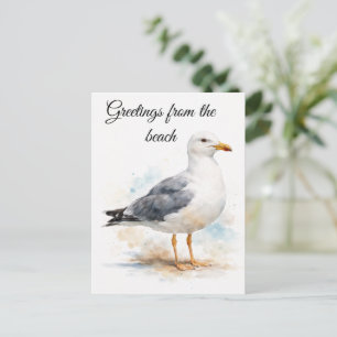 Cartes Pour Fêtes Annuelles Mouette Oiseau Océan Plage Aquarelle Nautique