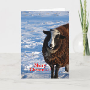 Cartes Pour Fêtes Annuelles Mouton de Noël