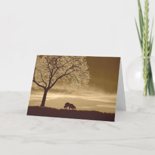 Cartes Pour Fêtes Annuelles Moutons à l'horizon~Bordure Collie Noël
