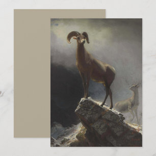 Cartes Pour Fêtes Annuelles Moutons des Rocheuses par Albert Bierstadt