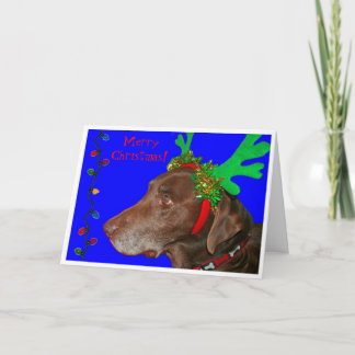 Cartes Pour Fêtes Annuelles Moxie 20103, Joyeux Noël !