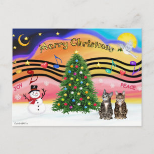 Cartes Pour Fêtes Annuelles Musique de Noël 2 - Deux chats tabby