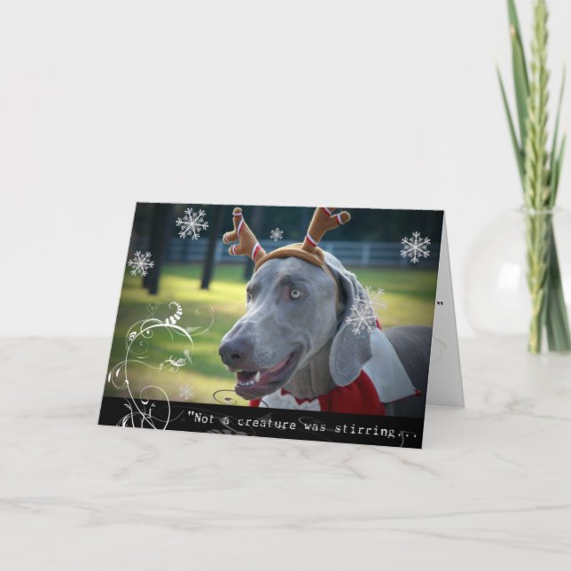 Cartes Pour Fêtes Annuelles Nation de Weimaraner : "Pas une créature remuait. (Devant)