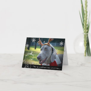 Cartes Pour Fêtes Annuelles Nation de Weimaraner : "Pas une créature remuait…