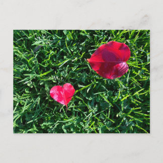 Cartes Pour Fêtes Annuelles Natures valentine: heart shaped red leaf