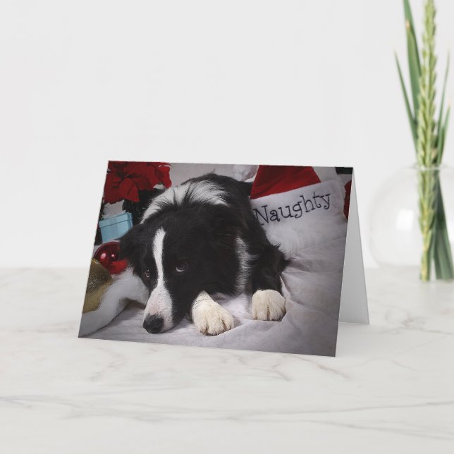 Cartes Pour Fêtes Annuelles Naughty BC Joyeux Noël (Devant)