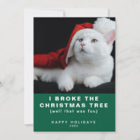 Naughty Chat blanc avec un chapeau de Père Noël ro