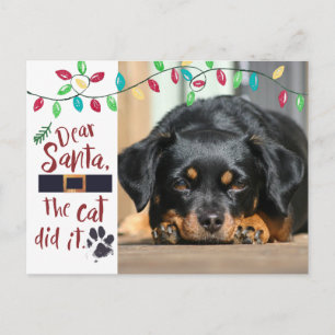Cartes Pour Fêtes Annuelles Naughty Dog Drôle Lettre au Père Noël Photo