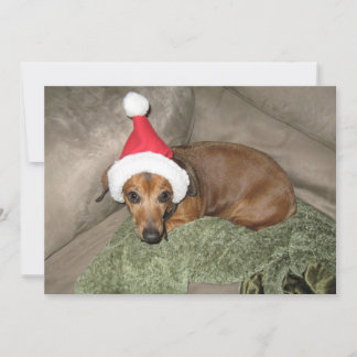 Cartes Pour Fêtes Annuelles Naughty list - Le Reluctant Père Noël Dachshund