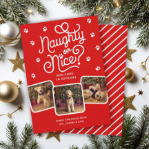 Naughty ou Nice Drôle Mignon Chien Chat 3 Photo