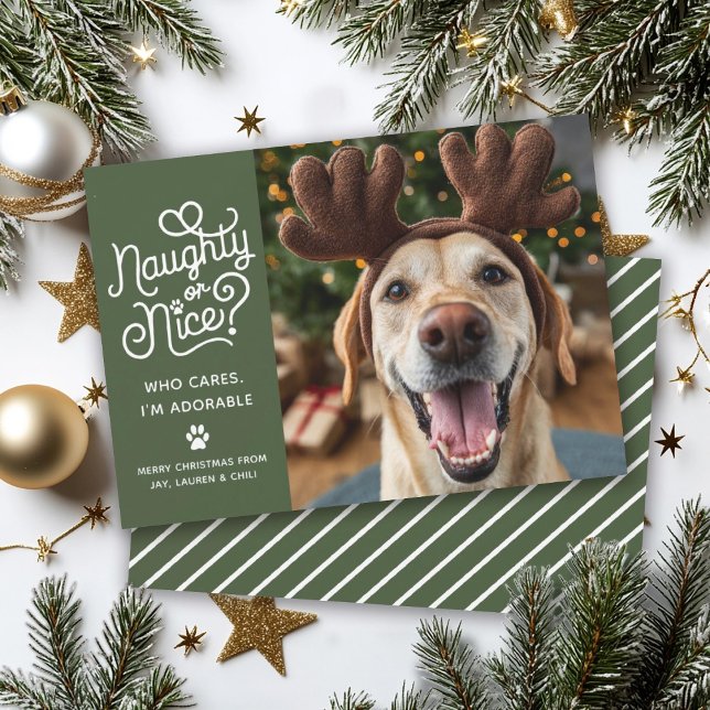 Cartes Pour Fêtes Annuelles Naughty ou Nice drôle mignonne animal de compagnie (Créateur téléchargé)