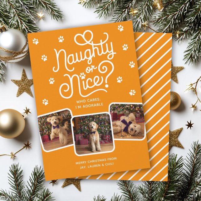 Cartes Pour Fêtes Annuelles Naughty ou Nice drôle mignonne animal de compagnie (Créateur téléchargé)