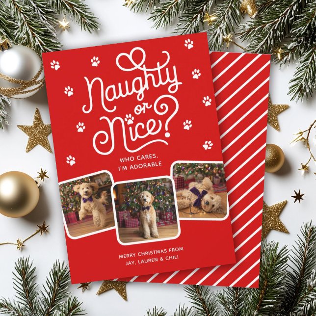 Cartes Pour Fêtes Annuelles Naughty ou Nice drôle mignonne animal de compagnie (Créateur téléchargé)