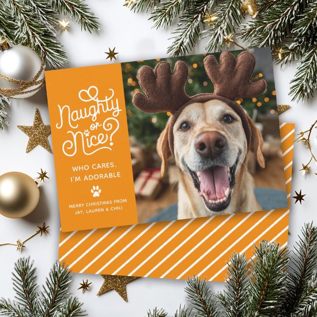 Cartes Pour Fêtes Annuelles Naughty ou Nice drôle mignonne animal de compagnie (Créateur téléchargé)
