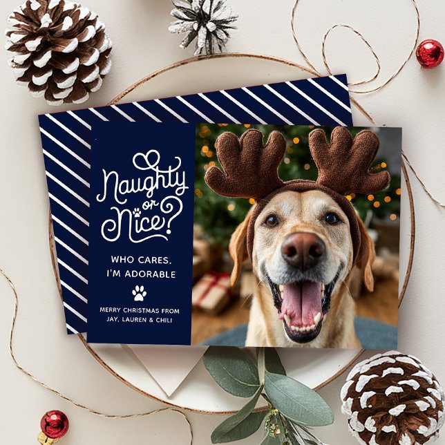 Cartes Pour Fêtes Annuelles Naughty ou Nice drôle mignonne animal de compagnie (Créateur téléchargé)