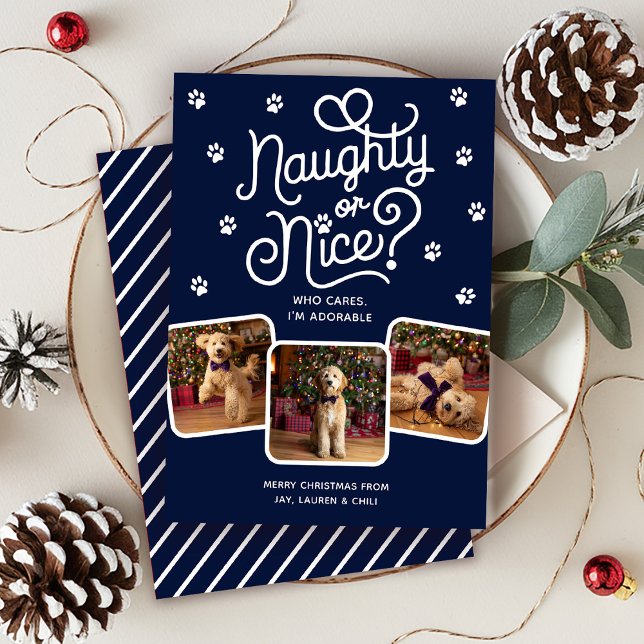 Cartes Pour Fêtes Annuelles Naughty ou Nice drôle mignonne animal de compagnie (Créateur téléchargé)