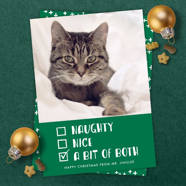 Cartes Pour Fêtes Annuelles Naughty OU Nice ou les deux amusant animal de comp (Créateur téléchargé)