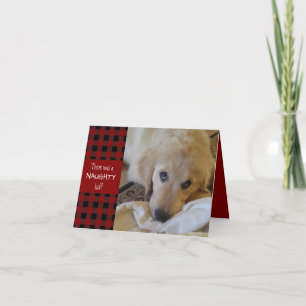 Cartes Pour Fêtes Annuelles Naughty ou Nice Rouge Plaid JEUX VACANCES