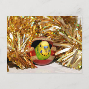 Cartes Pour Fêtes Annuelles Naughty parakeet Noël