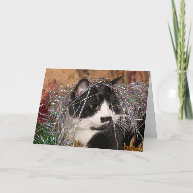 Cartes Pour Fêtes Annuelles Naughty tuxedo Noël (Devant)