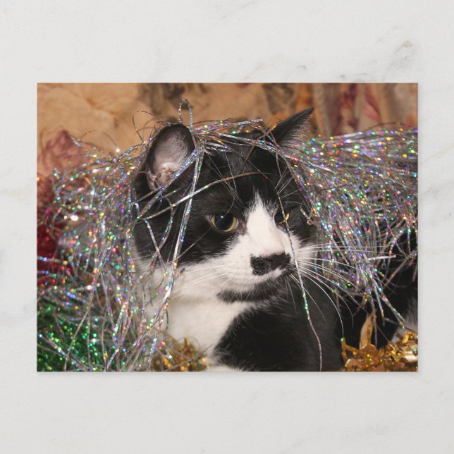 Cartes Pour Fêtes Annuelles Naughty tuxedo Noël (Devant)