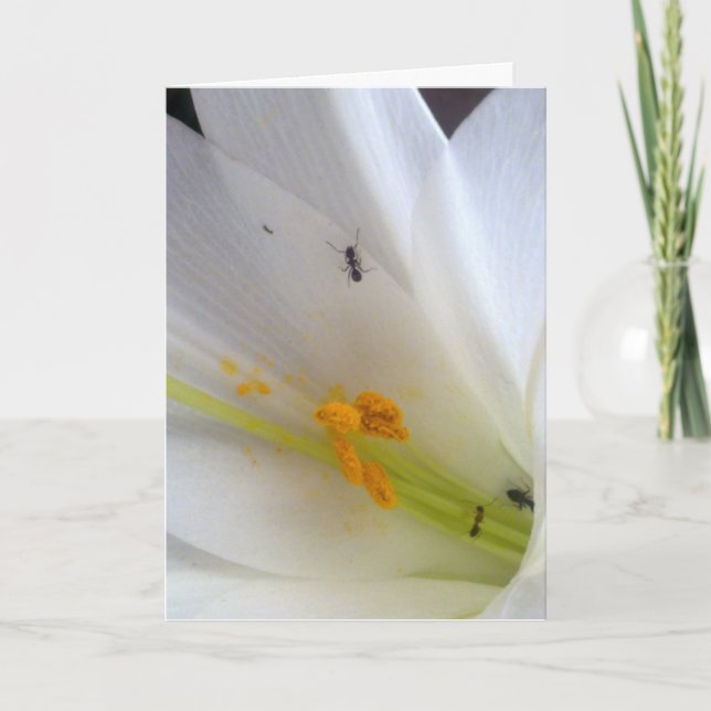 Cartes Pour Fêtes Annuelles Ne laissez pas les petites choses vous arriver... (Devant)