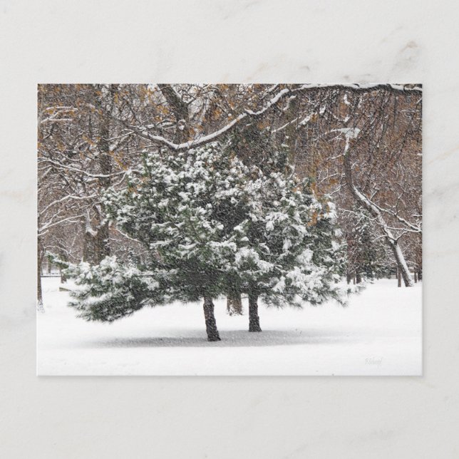 Cartes Pour Fêtes Annuelles Neige (Devant)