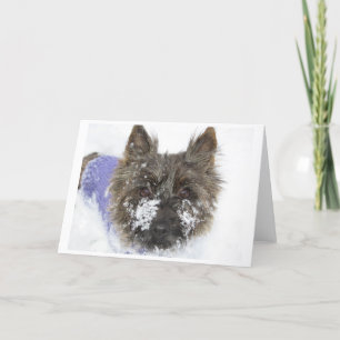 Cartes Pour Fêtes Annuelles Neige !