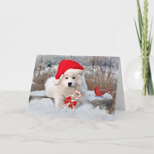 Cartes Pour Fêtes Annuelles Neige américaines d'hiver de Père Noël d'Esquimau (Devant)
