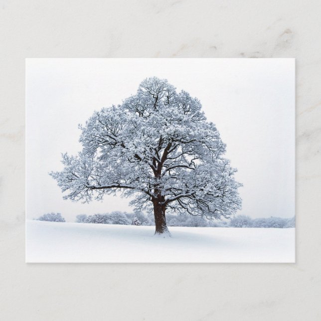 Cartes Pour Fêtes Annuelles Neige d'hiver / Arbre de Noël (Devant)