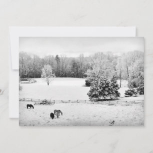 Cartes Pour Fêtes Annuelles Neige fraîche tombée au ranch du cheval