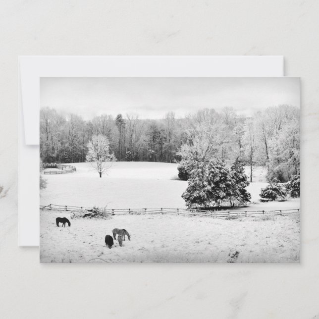 Cartes Pour Fêtes Annuelles Neige fraîche tombée au ranch du cheval (Devant)