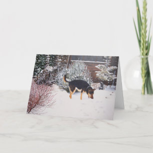 Cartes Pour Fêtes Annuelles Neige hivernale avec chien noir mignon à noël