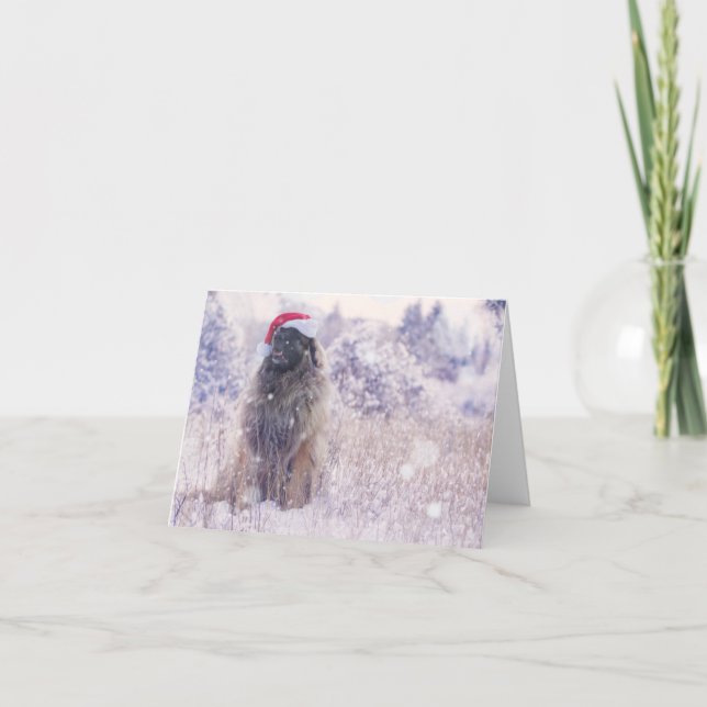 Cartes Pour Fêtes Annuelles neige pourpre Leonberger (Devant)