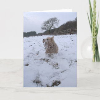 Cartes Pour Fêtes Annuelles Neige Westie