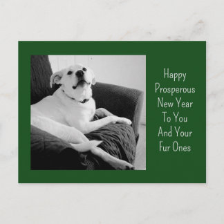 Cartes Pour Fêtes Annuelles New Year Black and White Photo of Cute Dog Green