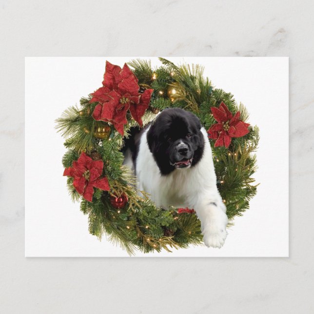 Cartes Pour Fêtes Annuelles Newf Landseer (Devant)