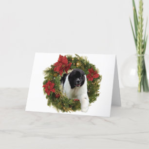 Cartes Pour Fêtes Annuelles Newf Landseer