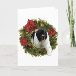 Cartes Pour Fêtes Annuelles Newf Landseer