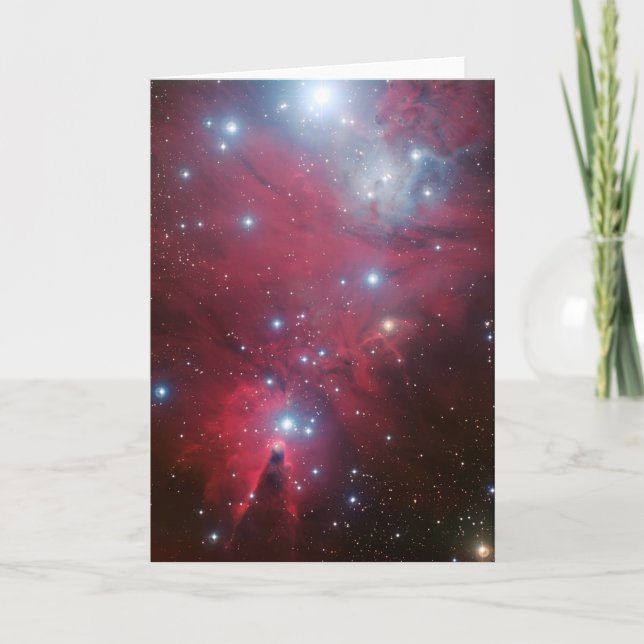 Cartes Pour Fêtes Annuelles NGC 2264 et le groupe d'arbre de Noël (Devant)