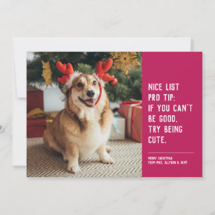 Cartes Pour Fêtes Annuelles Nice liste drôle animal rose photo de Noël