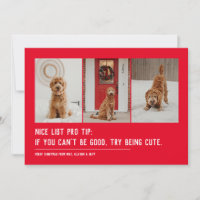 Nice liste drôle animal trois photo Noël