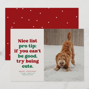Cartes Pour Fêtes Annuelles Nice liste drôle mignon rouge vert photo