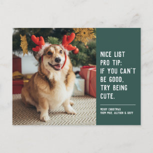 Cartes Pour Fêtes Annuelles Nice liste verte drôle mignon animal