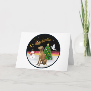 Cartes Pour Fêtes Annuelles Night Flight