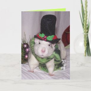Cartes Pour Fêtes Annuelles Noël