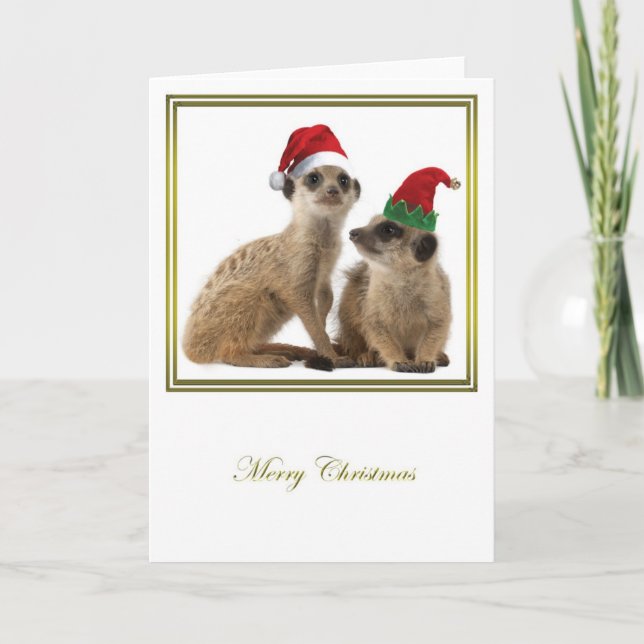 Cartes Pour Fêtes Annuelles Noël 1 de Meerkat (Devant)