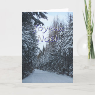 Cartes Pour Fêtes Annuelles Noel 2