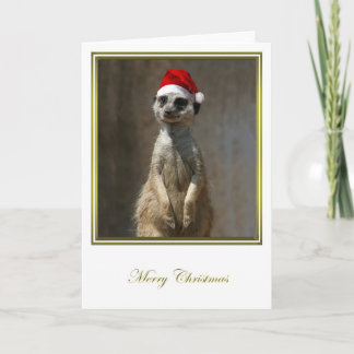 Cartes Pour Fêtes Annuelles Noël 2 de Meerkat